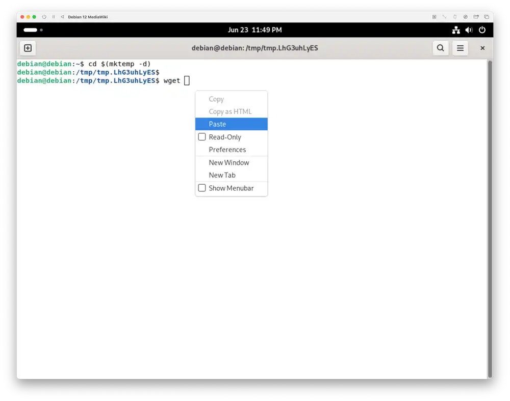 Paste the link that you've copied after the letters wget